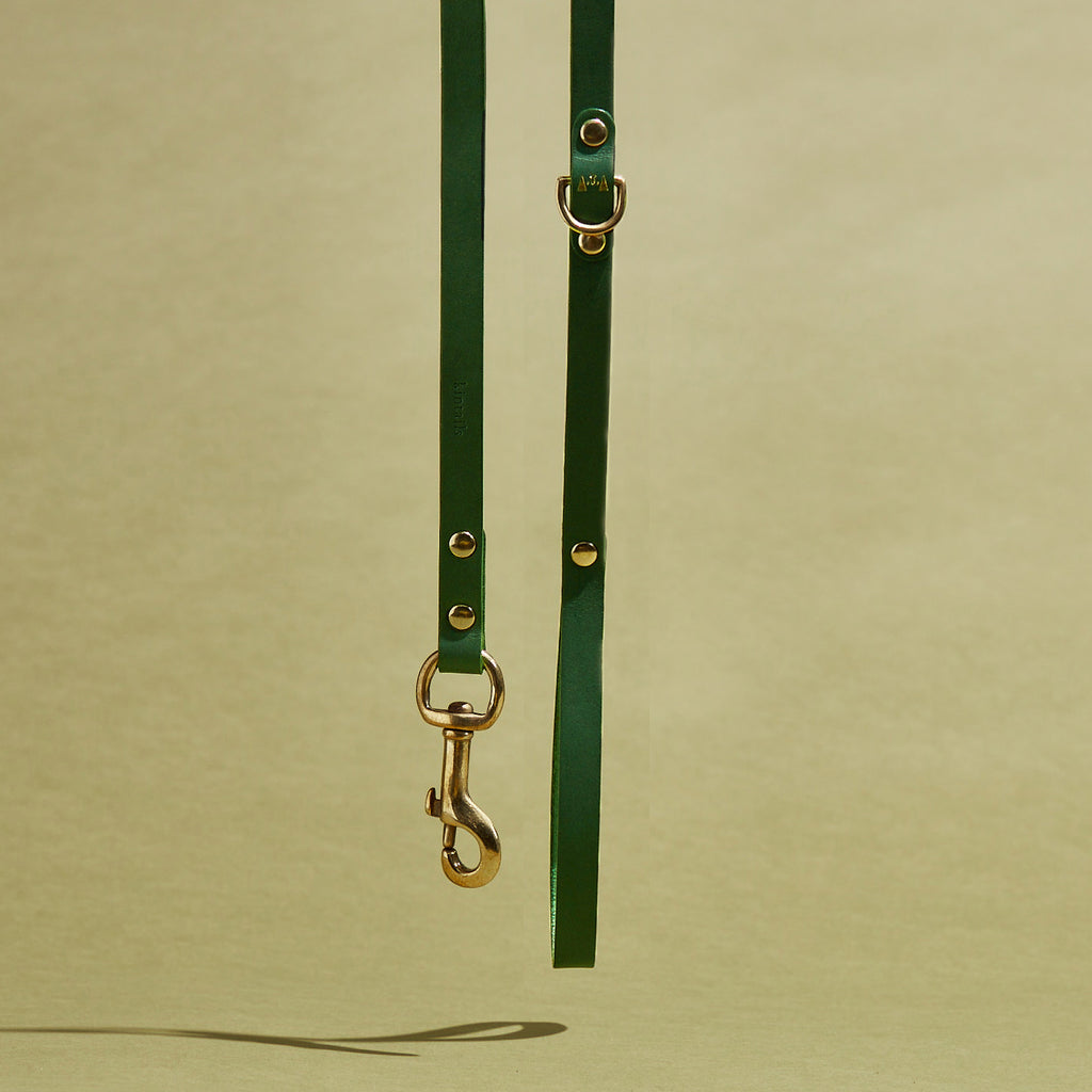 Thin leather hot sale dog leash