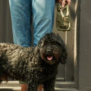 kintails green dog walkers bag