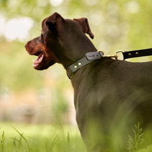 kintails Leather Dog Collar Black