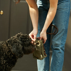 kintails green dog walkers bag