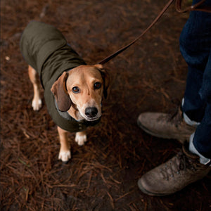 kintails Rainfall Dog Coat Green