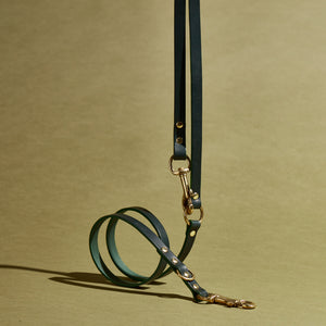 kintails Adjustable Long Leather Dog Lead Green