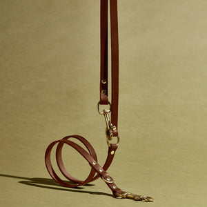 kintails Adjustable Long Leather Dog Lead brown