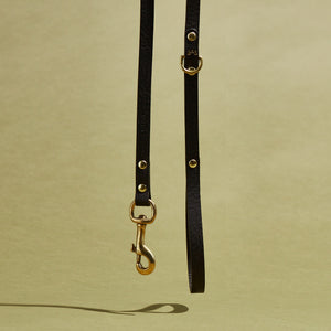 kintails Skinny Leather Dog Lead Black