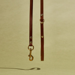 kintails Skinny Leather Dog Lead Brown