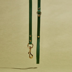 kintails Skinny Leather Dog Lead Green