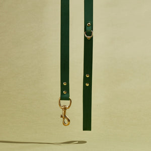 kintails standard leather dog lead green