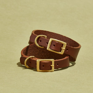 kintails Hound Leather Dog Collar Brown